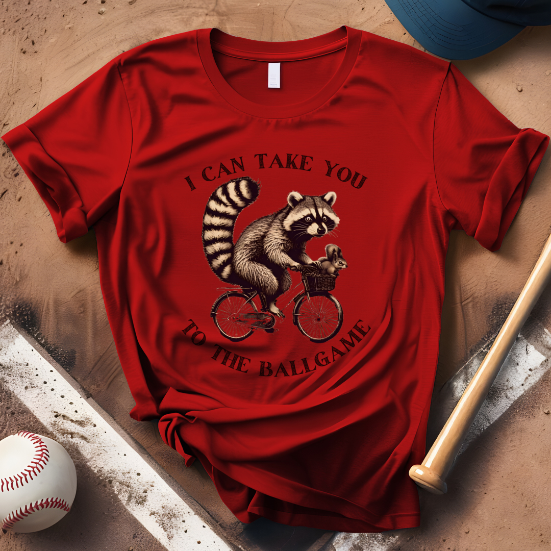 I Can Take You To The Ballgame
