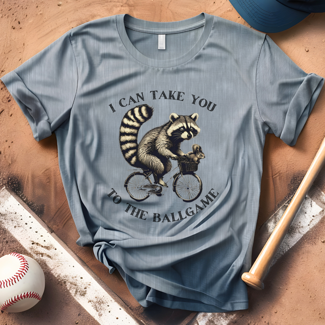 I Can Take You To The Ballgame